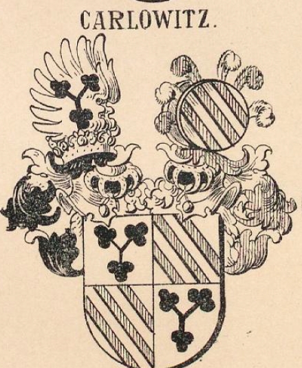 Carlowitz Coat of Arms / Family Crest 6
