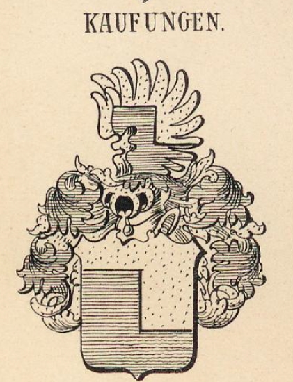 Kaufungen Coat of Arms / Family Crest 1