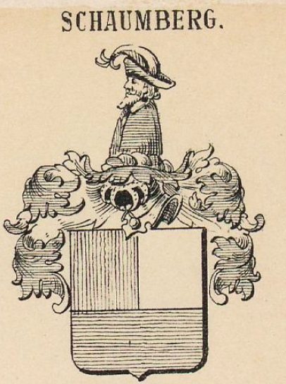 Schaumberg Coat of Arms / Family Crest 6