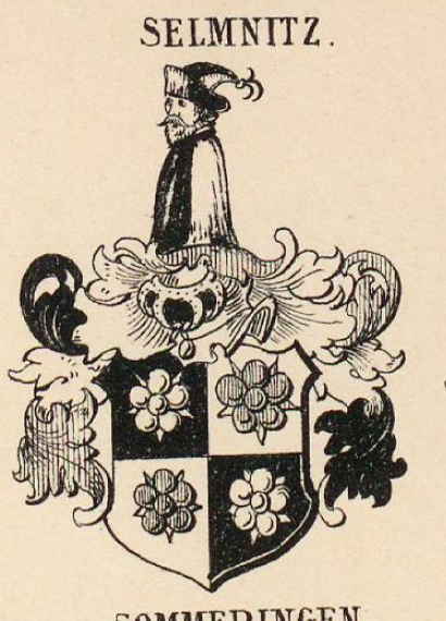 Selmnitz Coat of Arms / Family Crest 3