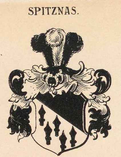 Spitznas Coat of Arms / Family Crest 6