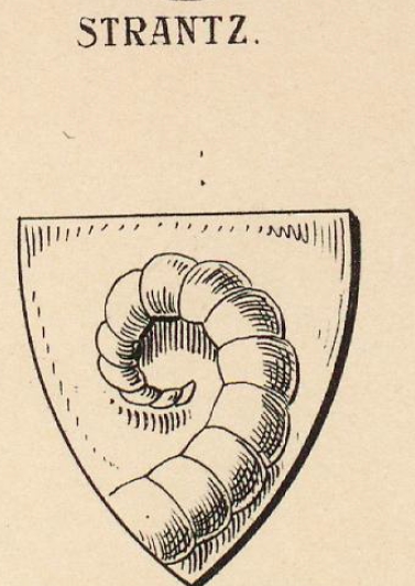 Strantz Coat of Arms / Family Crest 5