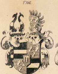 Flugi Coat of Arms / Family Crest 0
