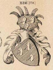 Flugi Coat of Arms / Family Crest 1