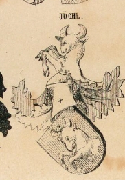 Jochl Coat of Arms / Family Crest 0
