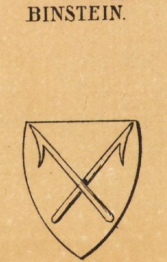 Binstein Coat of Arms / Family Crest 0