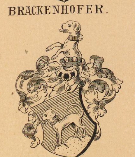 Brackenhofer Coat of Arms / Family Crest 0