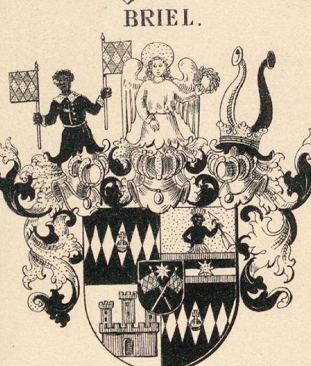 Briel Coat of Arms / Family Crest 0