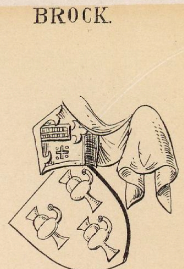 Brock Coat of Arms / Family Crest 1