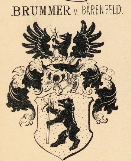 Brummer Coat of Arms / Family Crest 0