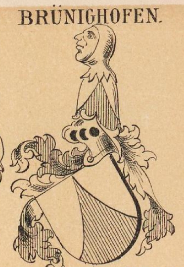 Brunighofen Coat of Arms / Family Crest 0