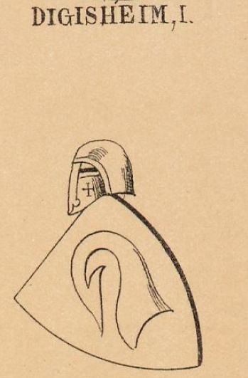 Digisheim Coat of Arms / Family Crest 0