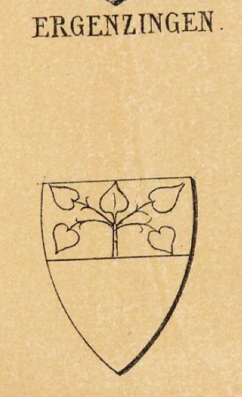 Ergenzingen Coat of Arms / Family Crest 0