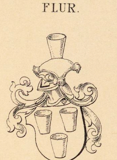 Flur Coat of Arms / Family Crest 0