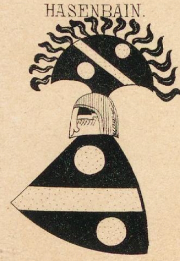 Hasenbain Coat of Arms / Family Crest 0