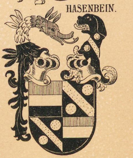 Hasenbein Coat of Arms / Family Crest 0