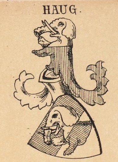 Haug Coat of Arms / Family Crest 3