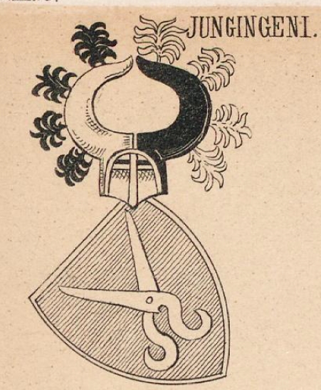 Jungingen Coat of Arms / Family Crest 1