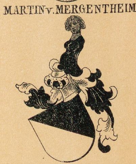 Martin Coat of Arms / Family Crest 13