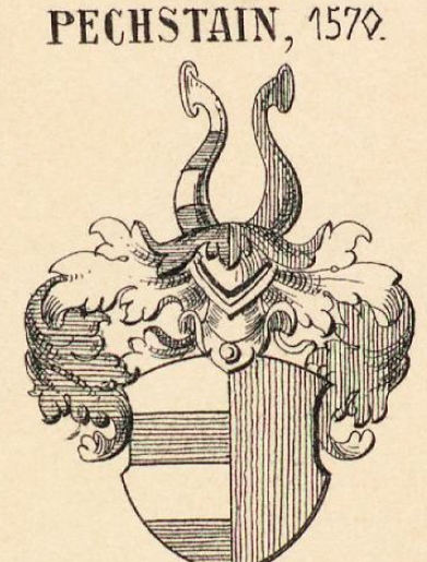 Pechstain Coat of Arms / Family Crest 0