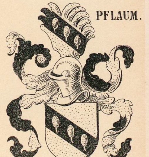 Pflaum Coat of Arms / Family Crest 0
