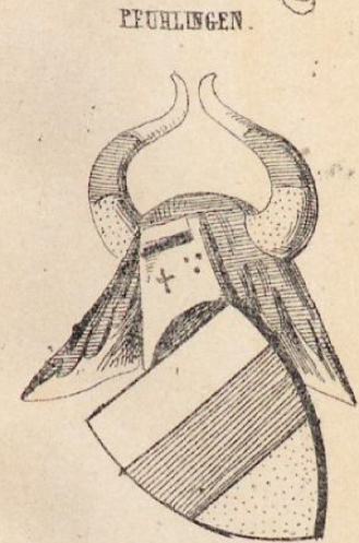 Pfuhlingen Coat of Arms / Family Crest 0
