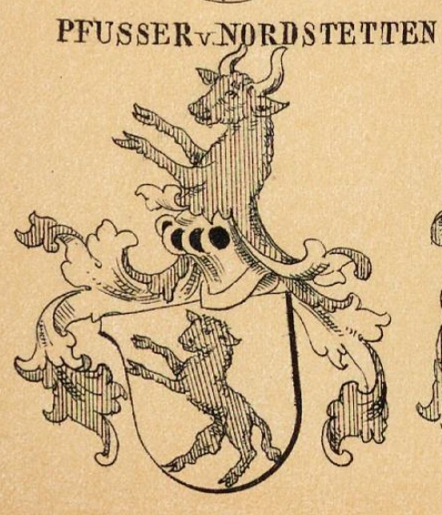 Pfusser Coat of Arms / Family Crest 0