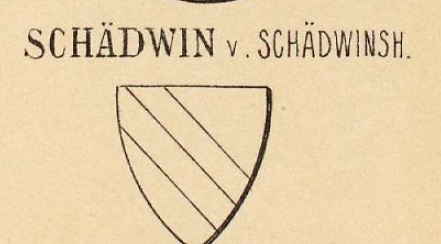 Schadwin Coat of Arms / Family Crest 0