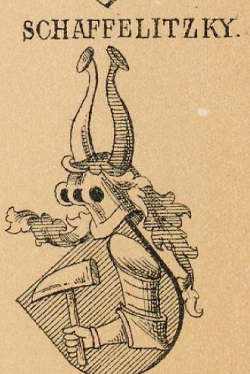 Schaffelitzky Coat of Arms / Family Crest 0