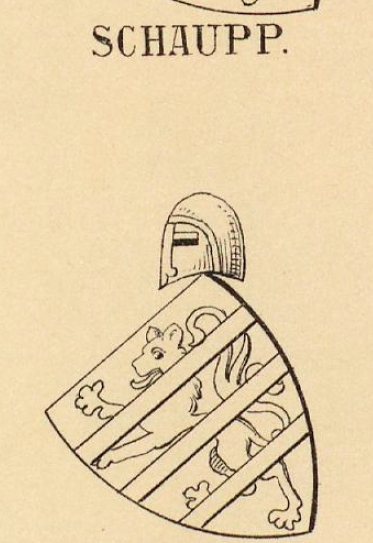 Schaupp Coat of Arms / Family Crest 0