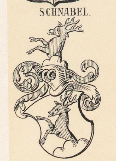 Schnabel Coat of Arms / Family Crest 4