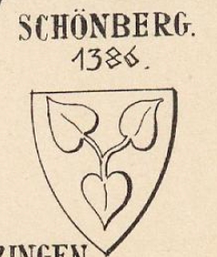 Schonberg Coat of Arms / Family Crest 8