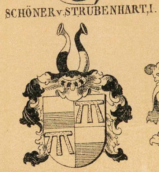 Schoner Coat of Arms / Family Crest 2
