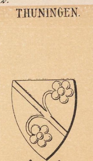 Thuningen Coat of Arms / Family Crest 0
