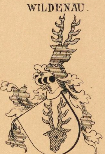 Wildenau Coat of Arms / Family Crest 5
